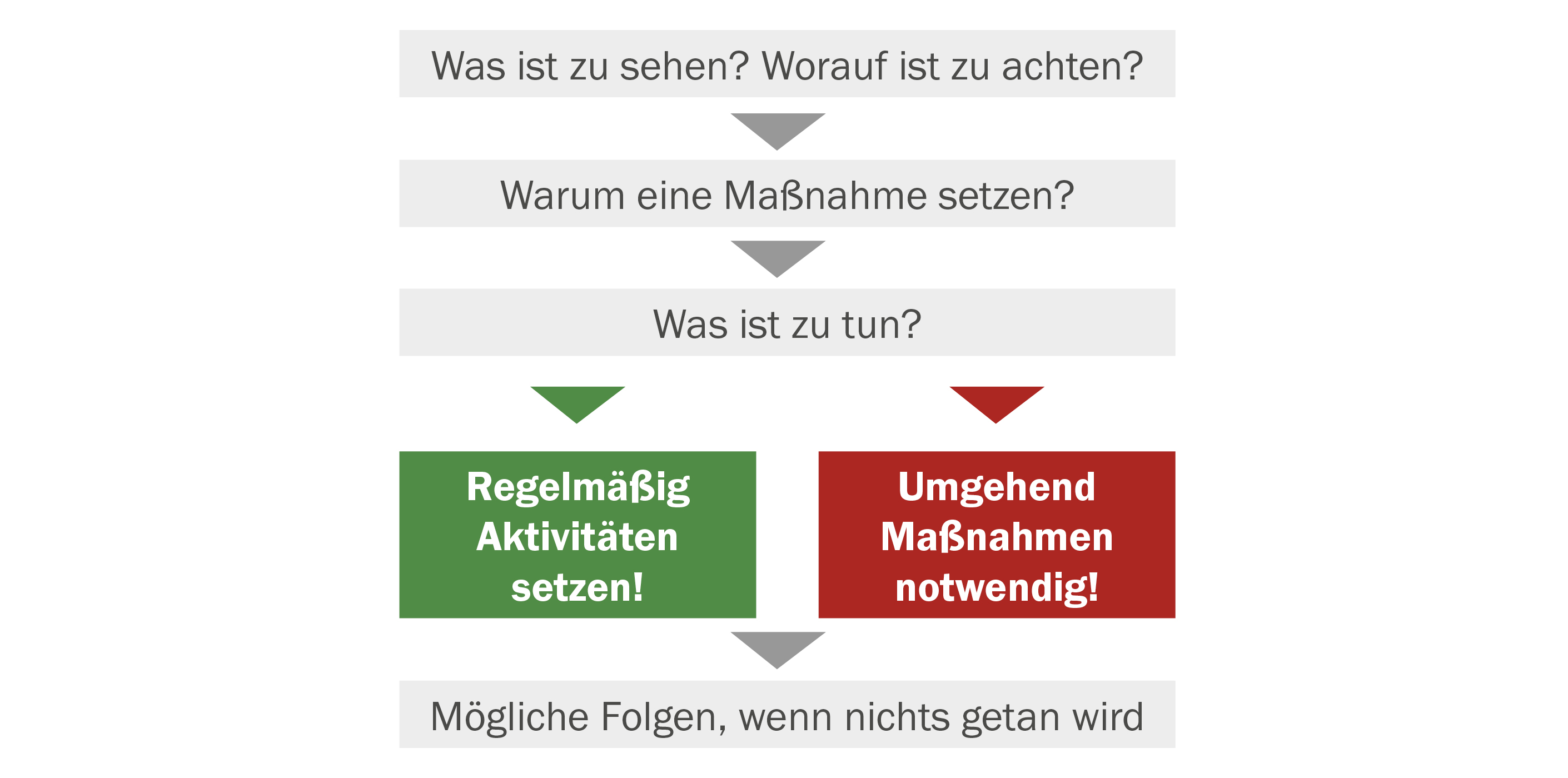 Baumit Fassade warten Fahrplan