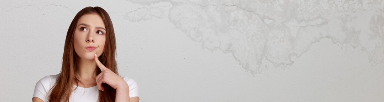 Putz drauf – aber welchen bei feuchten Wänden?