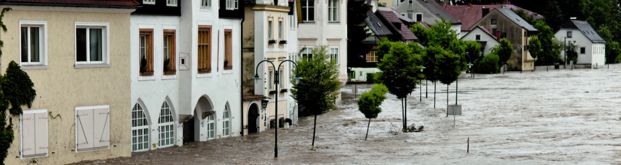 Sanierung nach Hochwasser