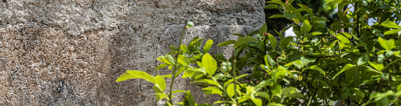 Sicher ist sicher - Steinmörtel für Garten und Außenanlagen
