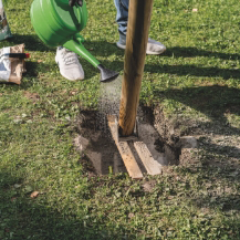 Baumit NixMix Beton Anwendung Wasser drauf und fertig